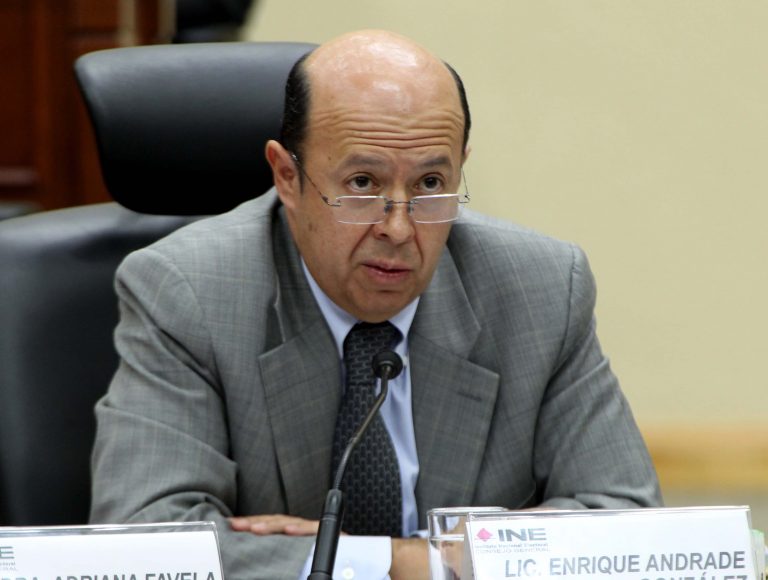 Enrique Andrade González, Consejera Electoral.
