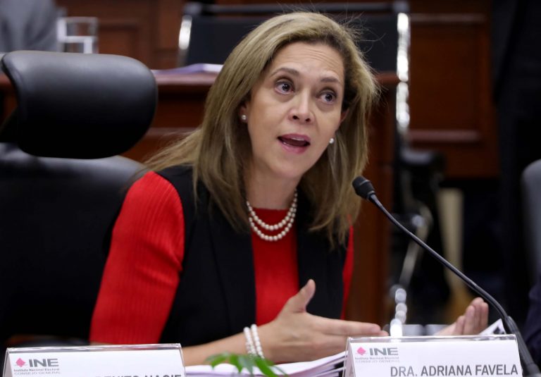 Consejera Electoral Adriana Favela Herrera