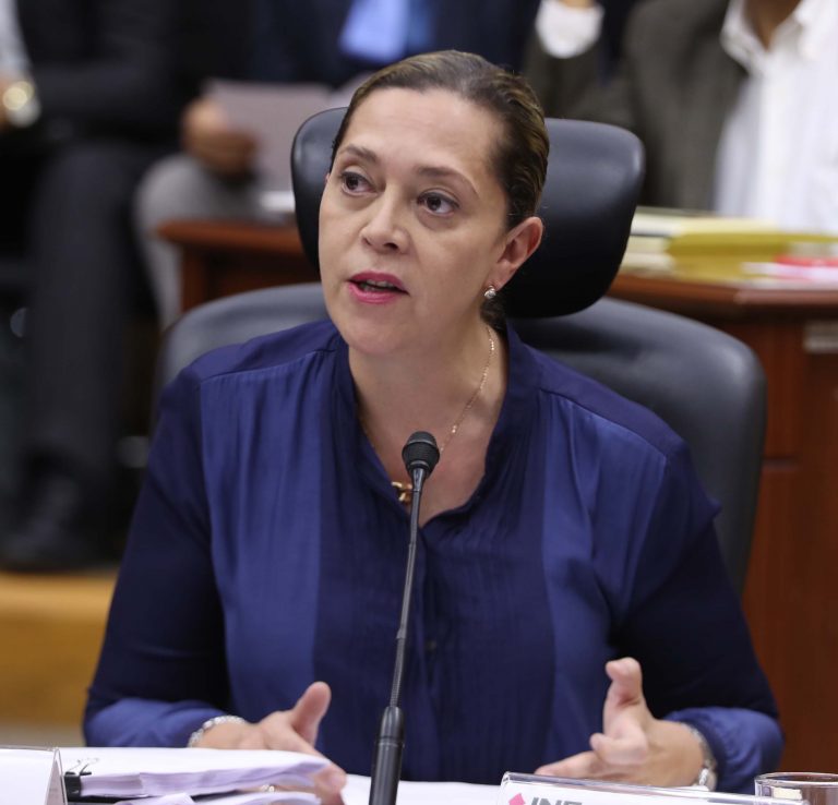 Consejera Electoral Adriana Favela Herrera.