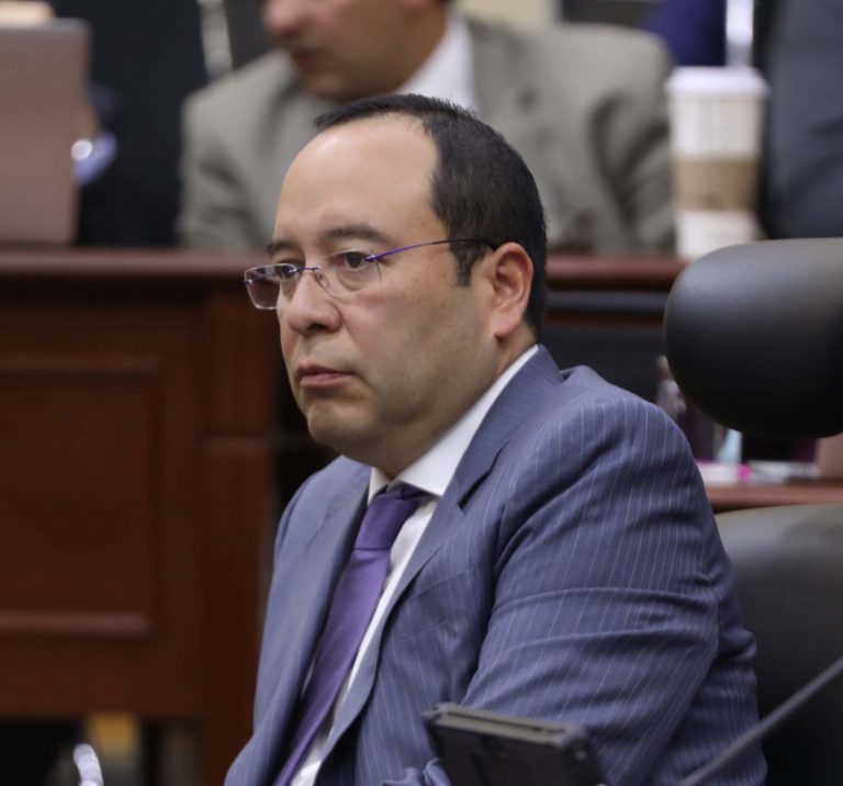 Ciro Murayama Rendón, Consejero Electoral.
