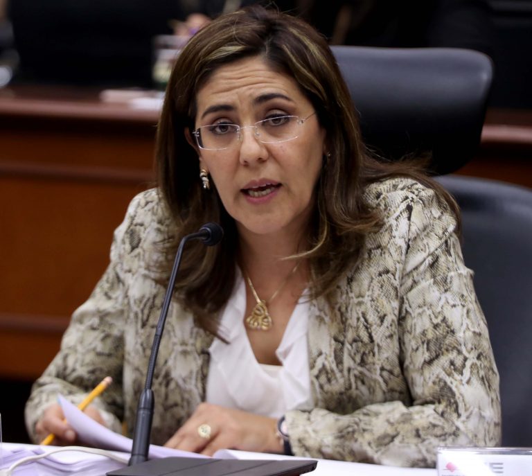 Consejera Electoral Claudia Zavala Pérez