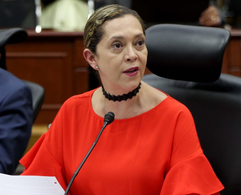 Adriana Favela Herrera, Consejera Electoral.