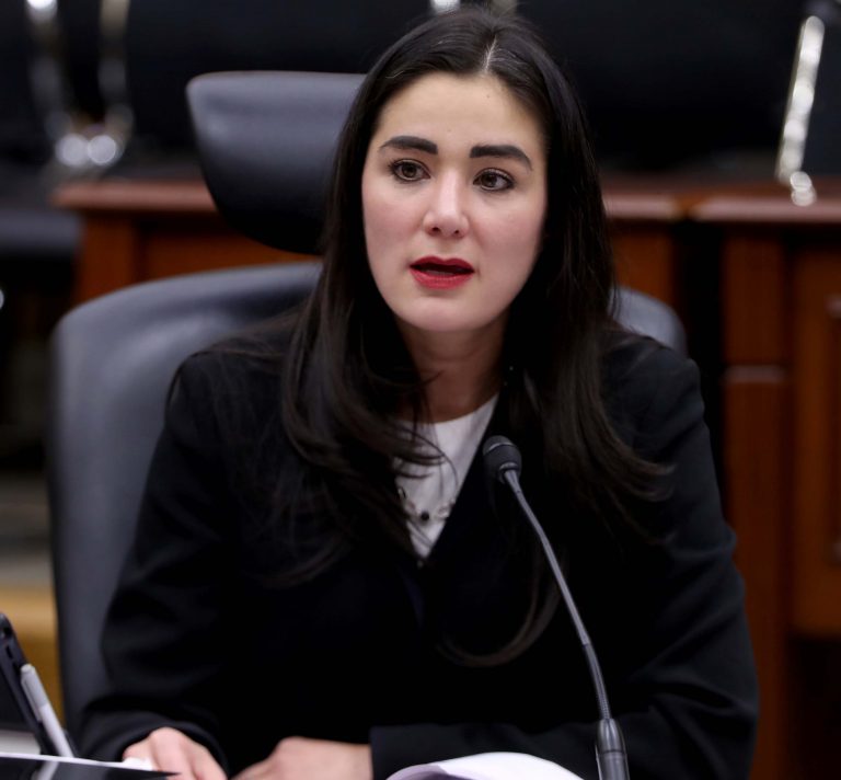 Consejera Electoral Dania Ravel Cuevas