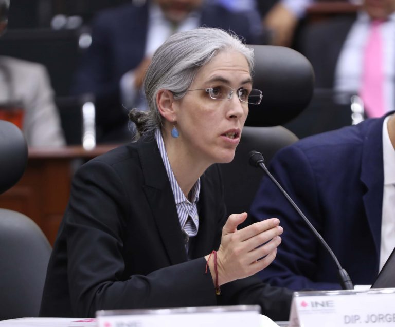 Consejera Electoral Pamela San Martín Ríos y Valles