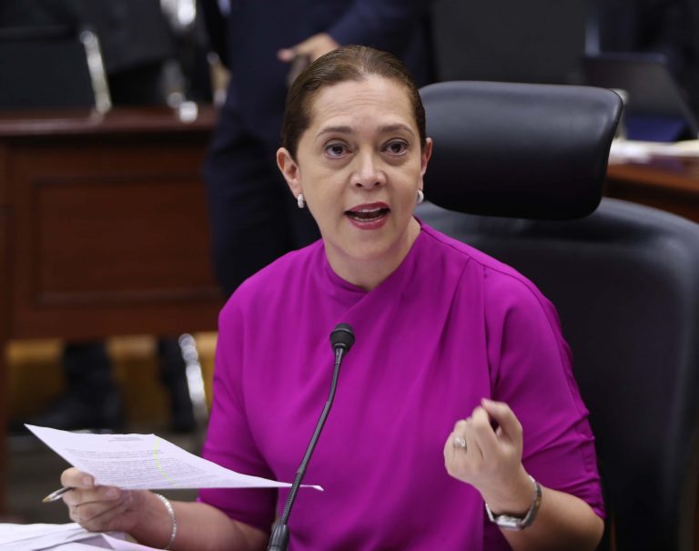 Adriana Favela Herrera  Consejera Electoral.