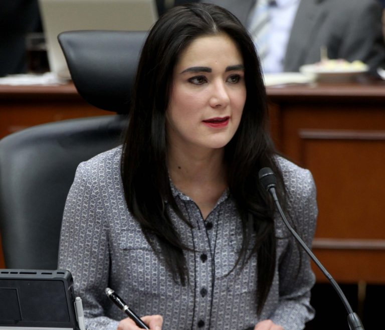 Dania Ravel Cuevas, Consejera Electoral.