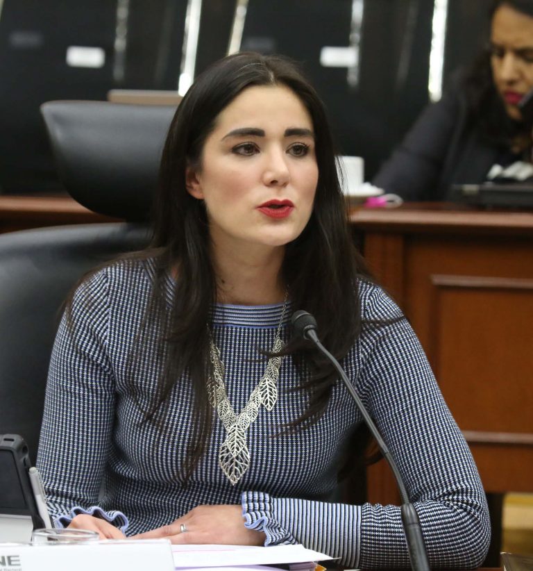 Consejera Electoral  Dania Ravel Cuevas