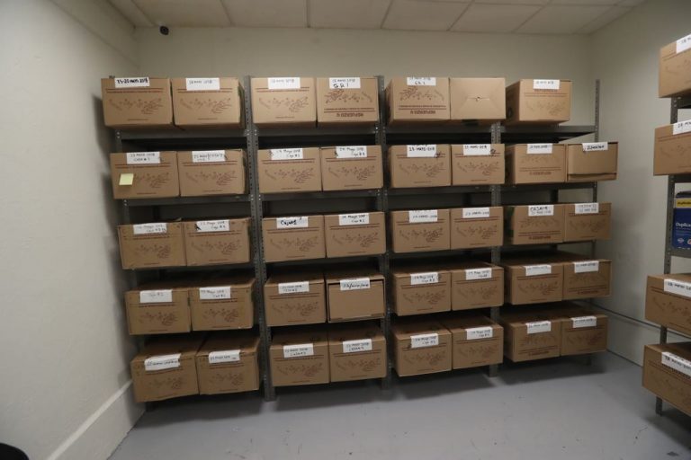 Visita a la bodega donde se resguarda el Voto de los Mexicanos Residentes en el Extranjero.