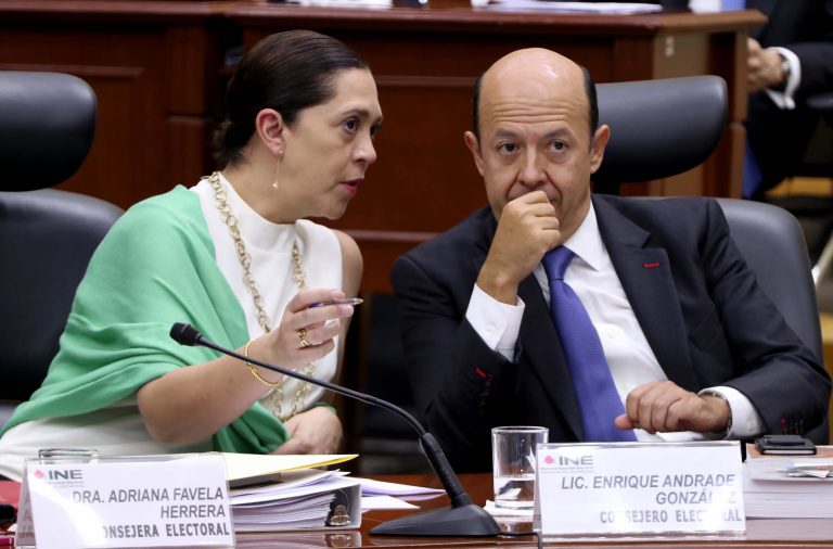 Adriana Favela Herrera y Enrique Andrade González, Consejera y Consejero Electorales.