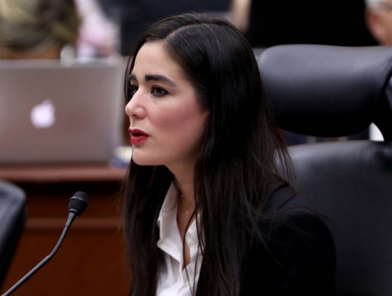 Dania Ravel Cuevas, Consejera Electoral.