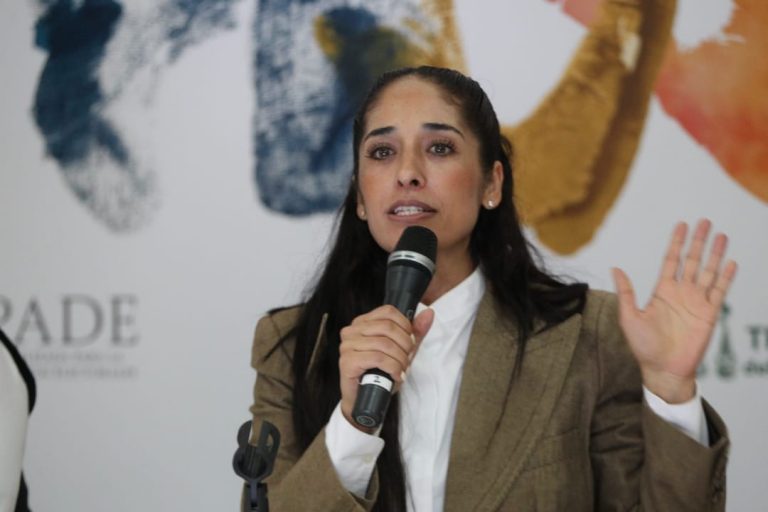 Mónica Maccise, Titular de la Unidad Técnica de la Unidad Técnica de Igualdad de Género y  no Discriminación.