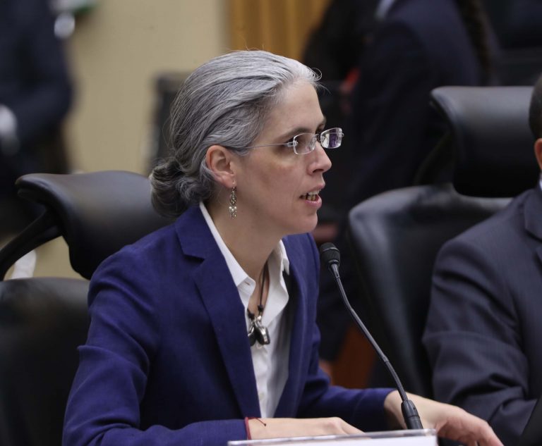 Pamela San Martín Ríos y Valles, Consejera Electoral.