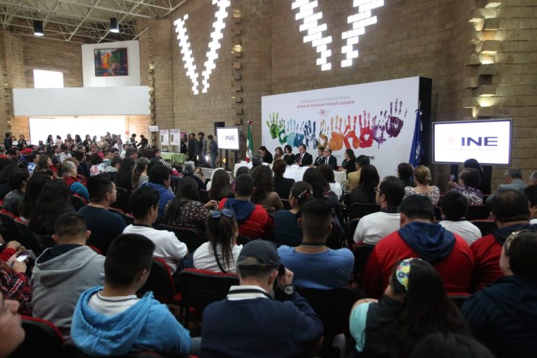 Segunda Jornada para un Ejercicio Efectivo del Voto de Personas con Discapacidad Intelectual CONFE - INE.