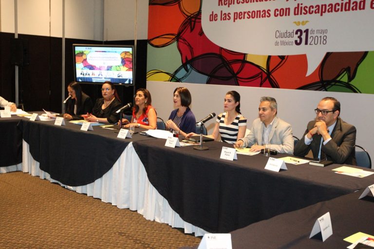 "Representación y participación política de las personas con discapacidad en México".