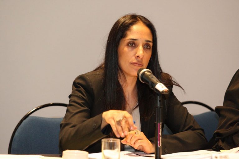 Mónica Maccise Directora de la Unidad Técnica de Igualdad de Género y no Discriminación del INE.