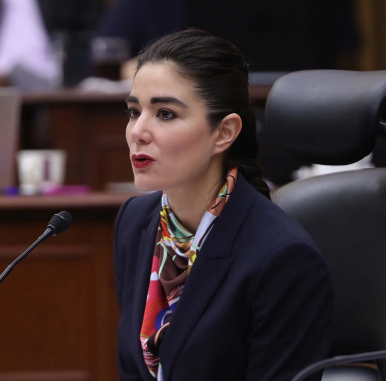 Dania Ravel Cuevas, Consejera Electoral.