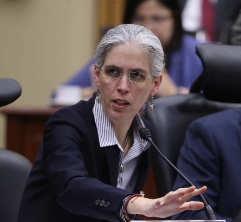 Pamela San Martín Ríos y Valles, Consejera Electoral.