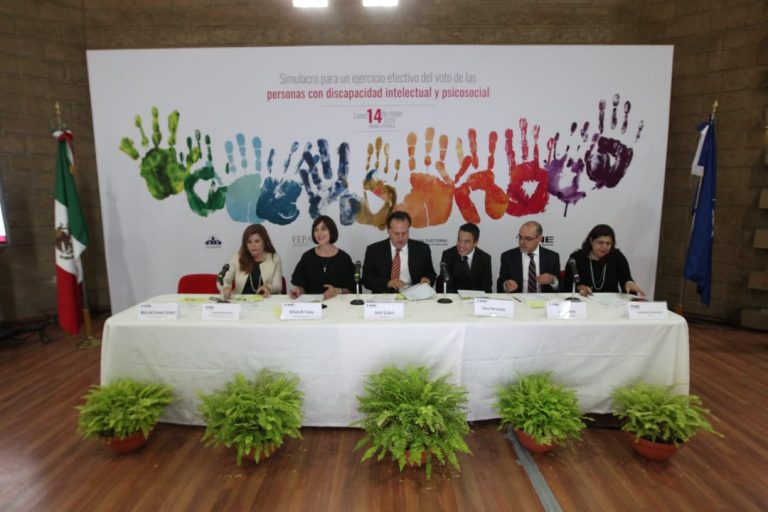 Segunda Jornada para un Ejercicio Efectivo del Voto de Personas con Discapacidad Intelectual CONFE - INE.