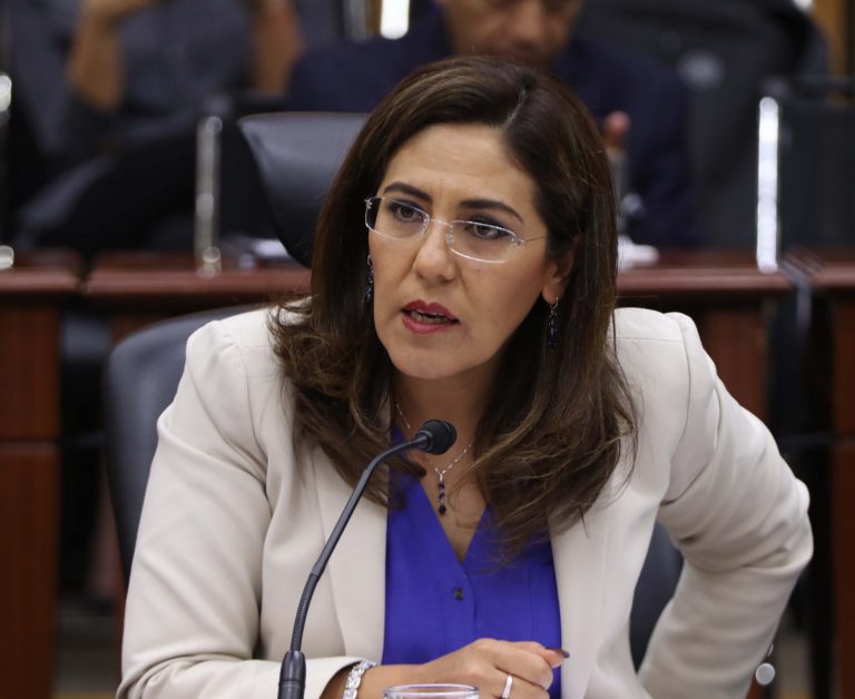 Claudia ZAvala Pérez, Consejera Electoral.