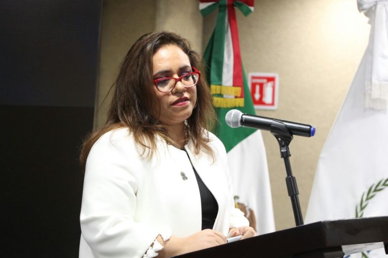 María Eréndira Cruzvillegas Fuentes, Cuarta visitadora general de la CNDH.