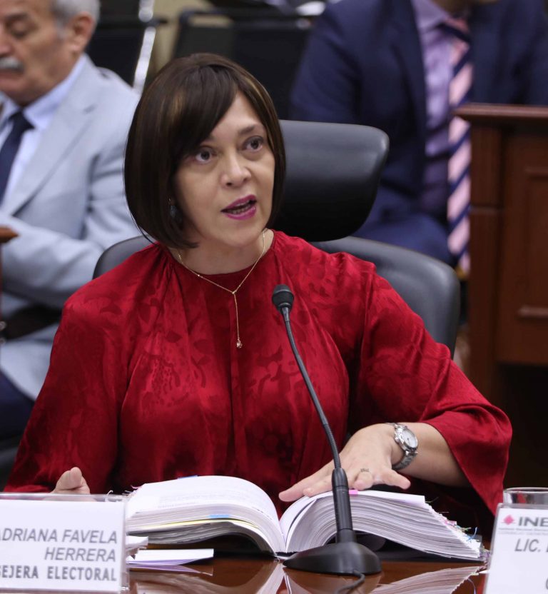 Adriana Favela Herrera Consejera Electoral.