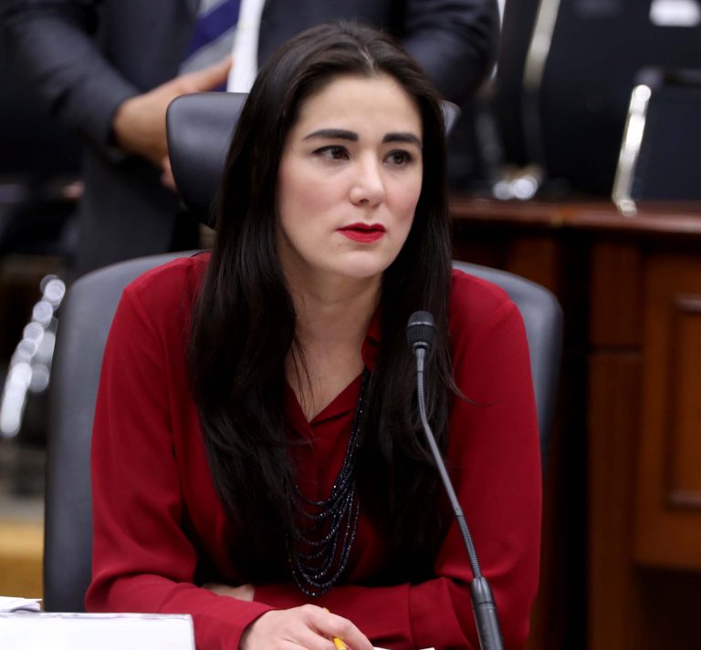 Consejera Electoral  Dania Paola Ravel Cuevas