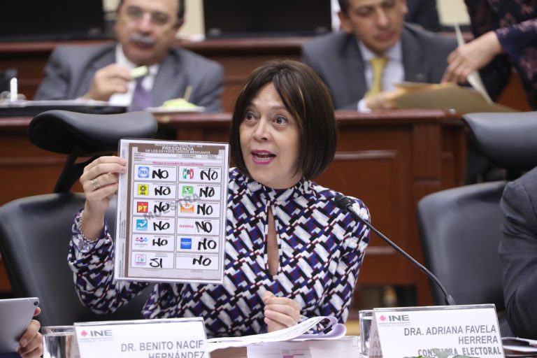 Consejera Electoral Adriana Favela Herrera.
