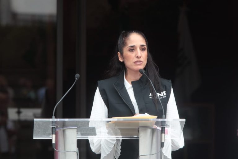 Mónica Maccise Dauyhe, Direxctora de la Unidad Técnica de Igualdad de Género y No Discriminación