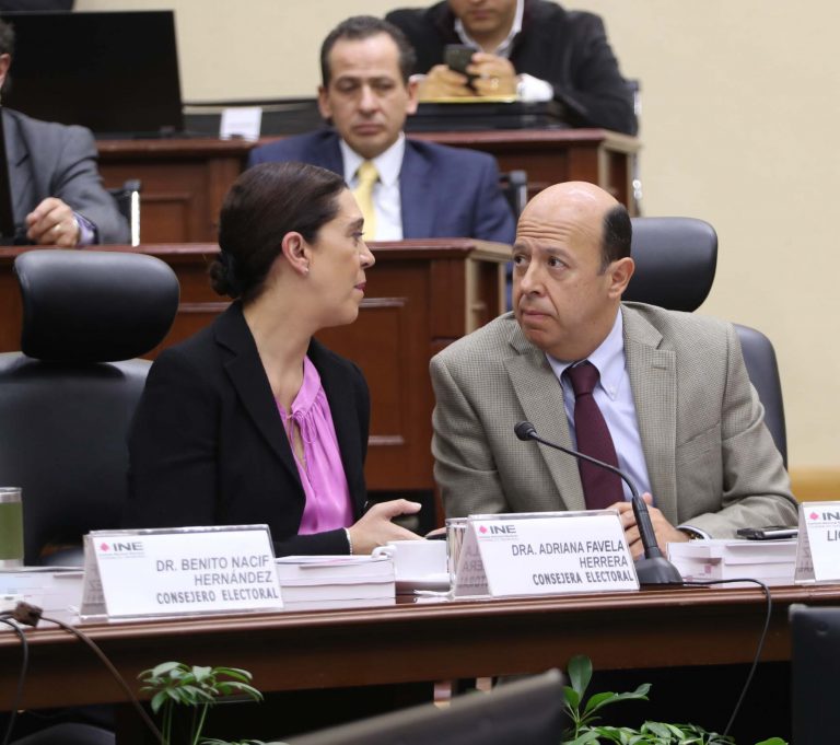 Adriana Favela Herrera y Enrique Andrade González, Consejera y Consejero Electorales.