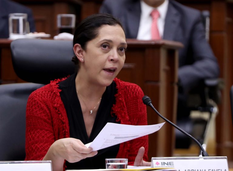 Adriana Favela Herrera, Consejera Electoral.