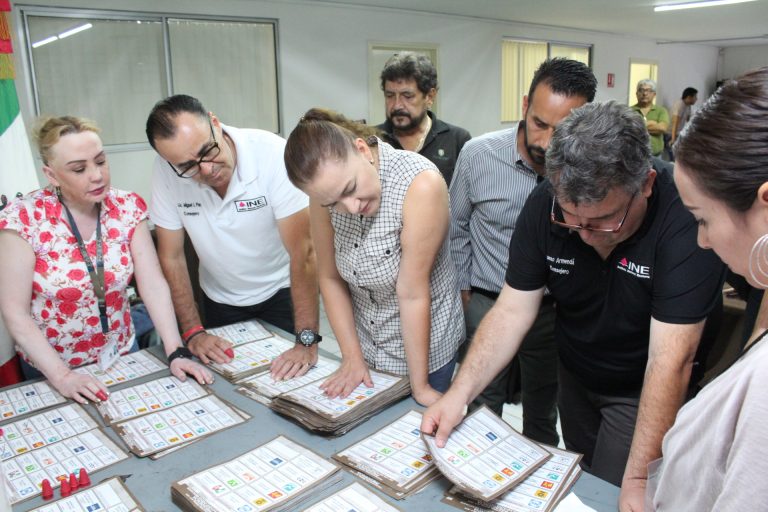 Chihuahua Distrito 8