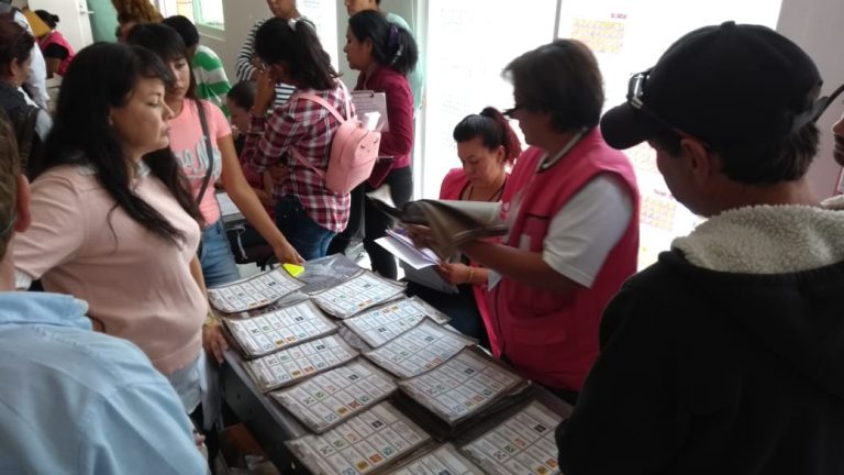 Guanajuato Distrito 8