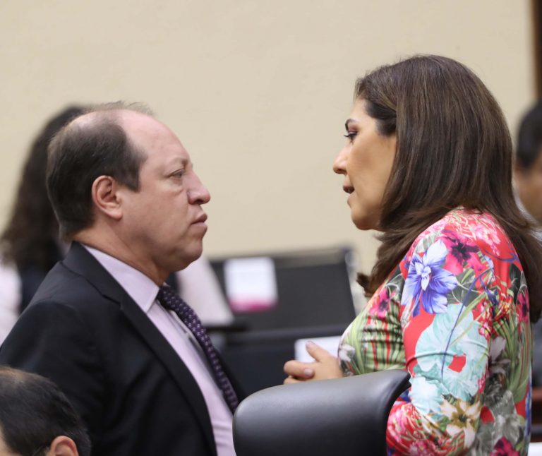 Marco Antonio Baños Martínez y Claudia Zavala Pérez, Consejera y Consejero Electorales.