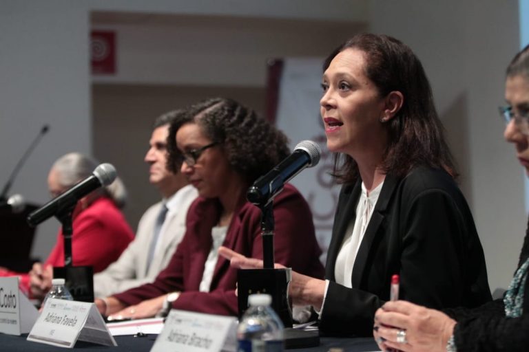 Adriana Favela Herrera, Consejera Electoral del INE.