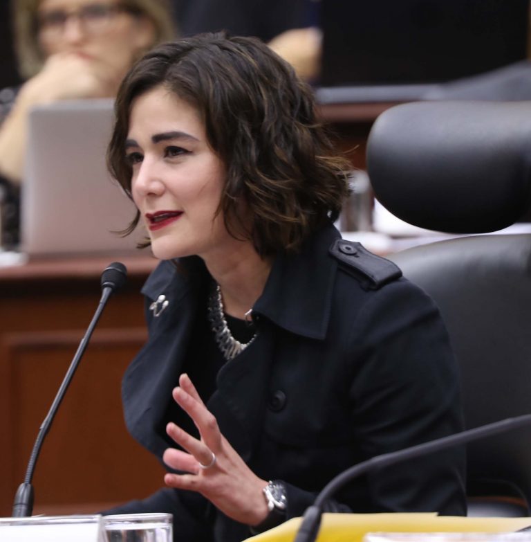 Dania Ravel Cuevas, Consejera Electoral.