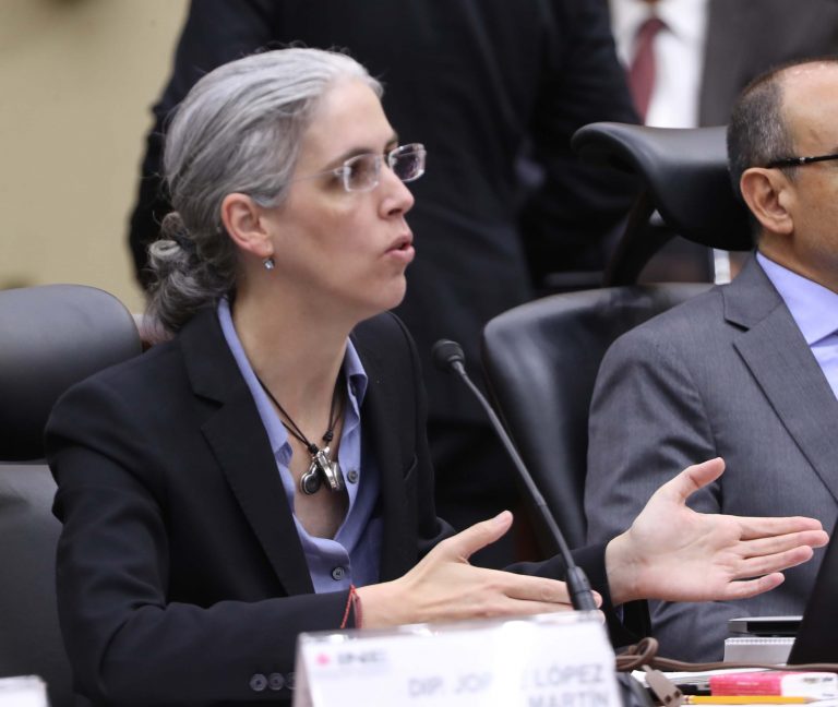 Pamela San Martín Ríos y Valles, Consejera Electoral.