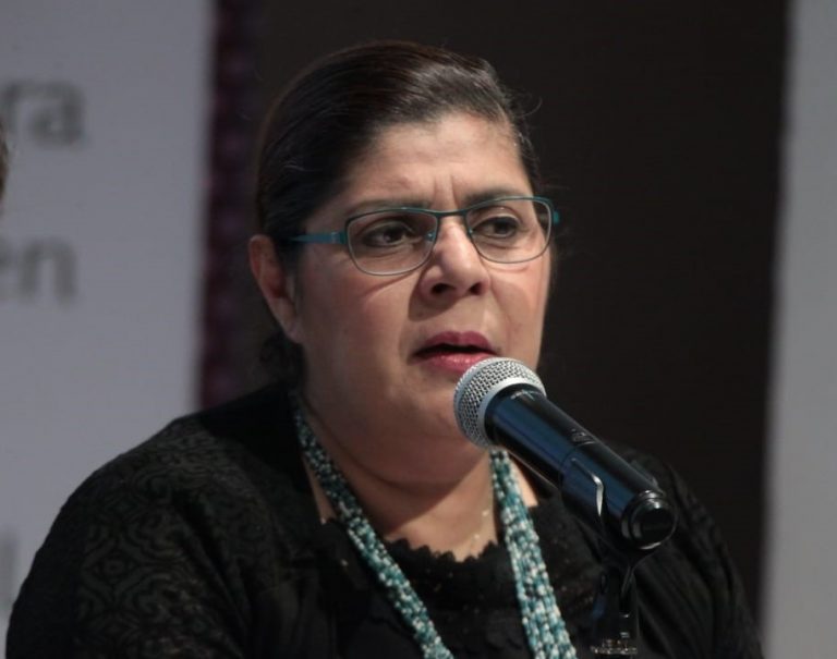 Diana Bracho Alegría, TEPJF.