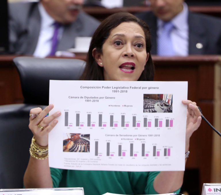 Adriana Favela Herrera, Consejera Electoral.