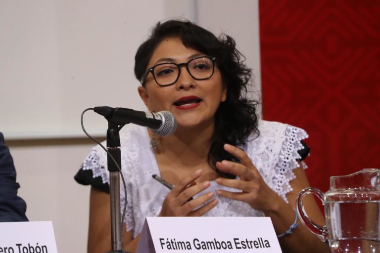 Fátima Gamboa Estrella, Equis: justicia para las mujeres.