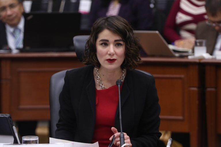 Dania Ravel Cuevas, Consejera Electoral.