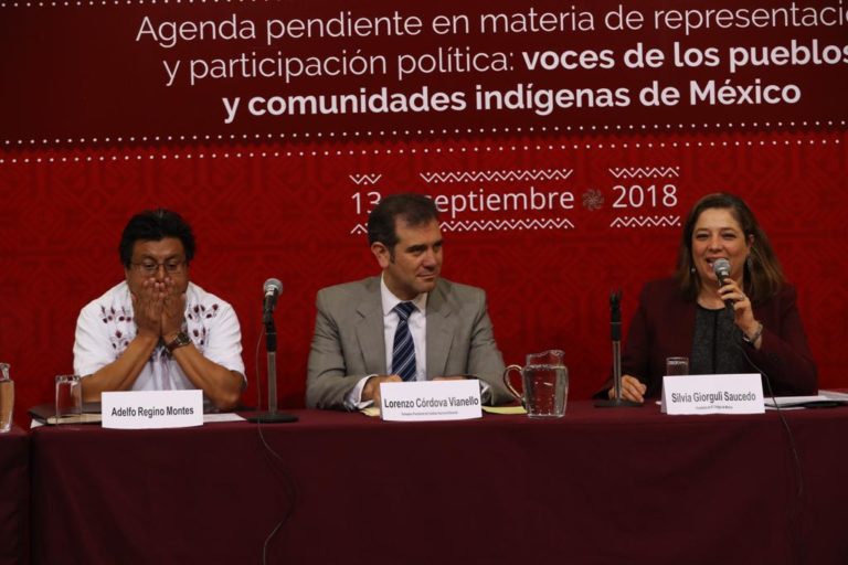 Presentación Agenda pendiente en materia de representación y participación política: voces de los pueblos y comunidades indígenas de México.