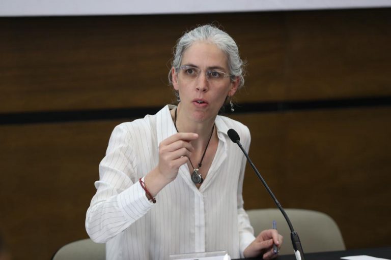 Pamela San Martín Ríos y Valles, Consejera Electoral.