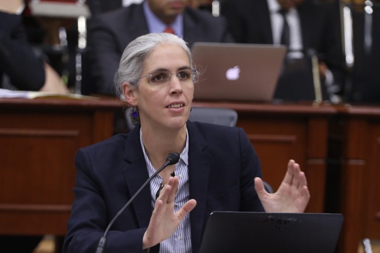 Pamela San Martín Ríos y Valles, Consejera Electoral.