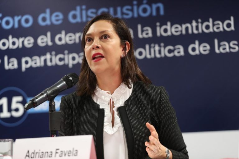 Adriana Favela Herrera Consejera Electoral del INE y Jorge Errandonea Abogado de la Corte Interamericana de Derechos Humanos.