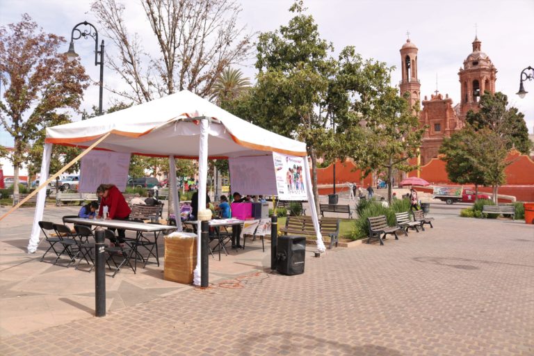 Consulta Infantil y Juvenil en Guadalupe, Zacatecas