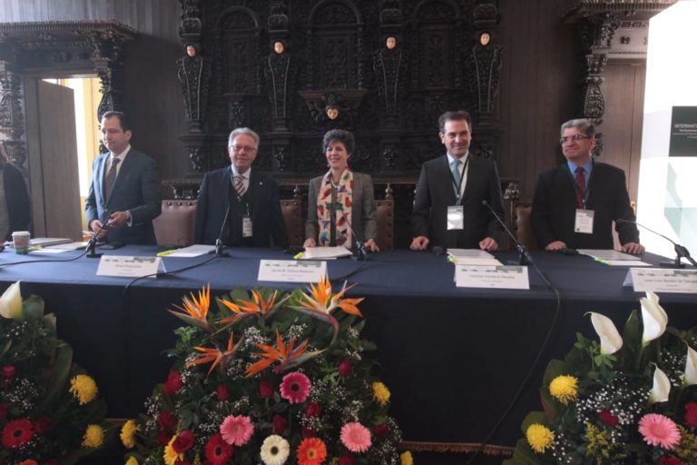 Subcomisión para América Latina de la Comisión de Venecia  en el marco del Congreso Internacional. Las garantías de los Procesos Democráticos: Estándares Internacionales y Principios Constitucionales en Perspectiva Comparada