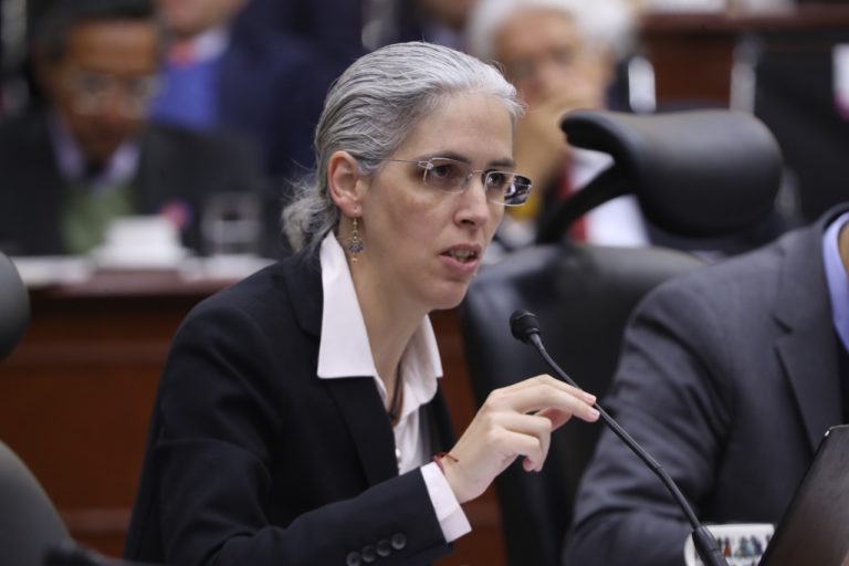 Pamela San Martín ríos y Valles, Consejera Electoral.