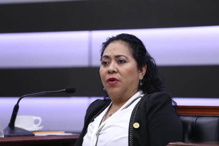 Alejandra pano Barragán, Diputada Federal II Distrito (Morena).