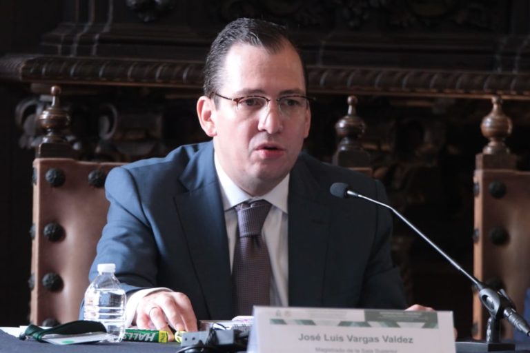 José Luis Vargas Valdéz, Magistrado de la Sala Superior del TEPJF.