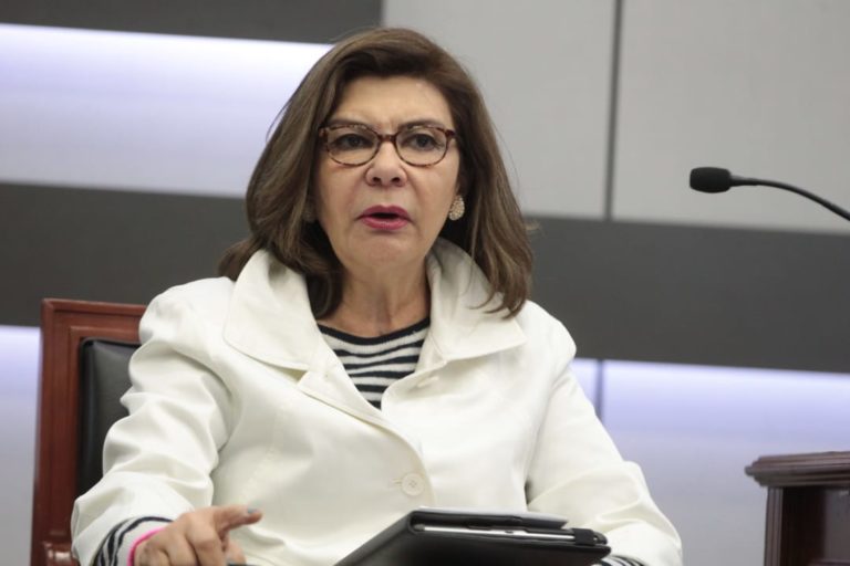 Angélica De la Peña Gómez  Defensora de Derechos Humanos y Consultora.